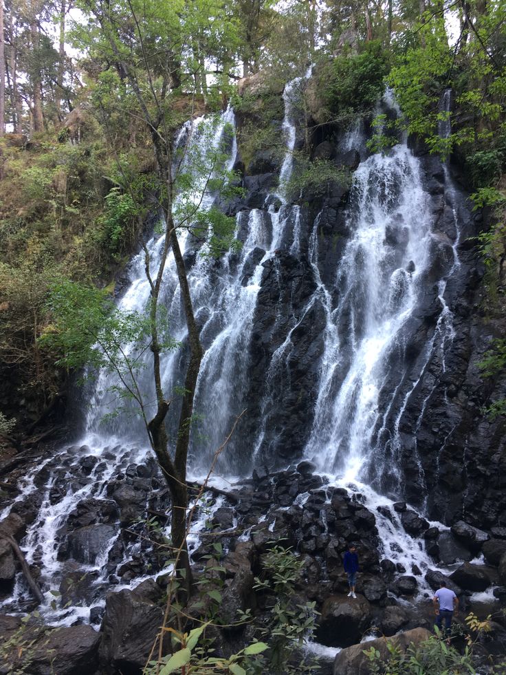 Una Experiencia Única