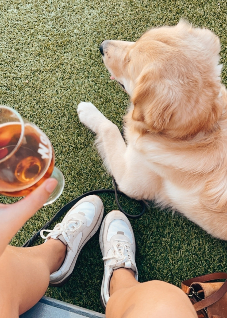 Villas Pet Friendly