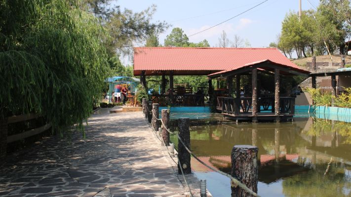 Experiencia Abekany + Buffet