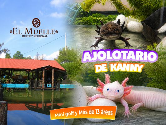 Experiencia Abekany + Alimentos