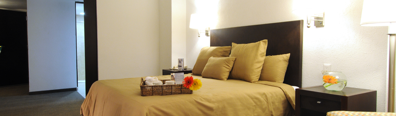 🐾 Dog Friendly con una cama