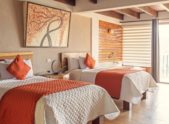 🌿 Junior Suite Doble