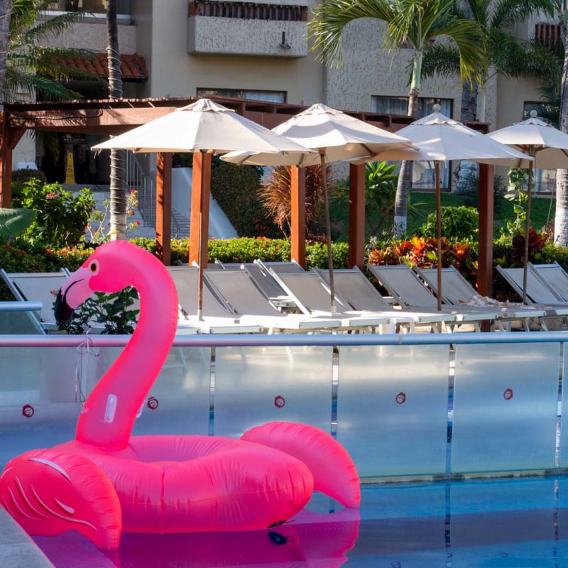 Canto Vallarta