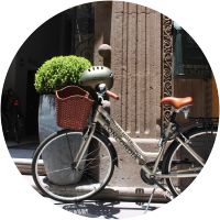 Bicycle rental