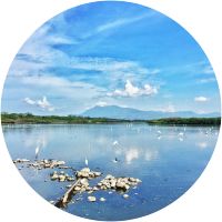 Valle de las Garzas Lagoon