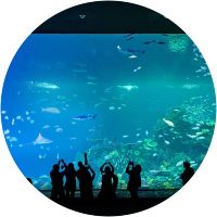 Nuevo Acuario de Mazatlán