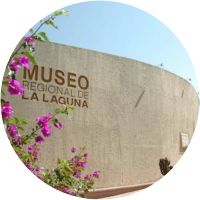 Museo Regional