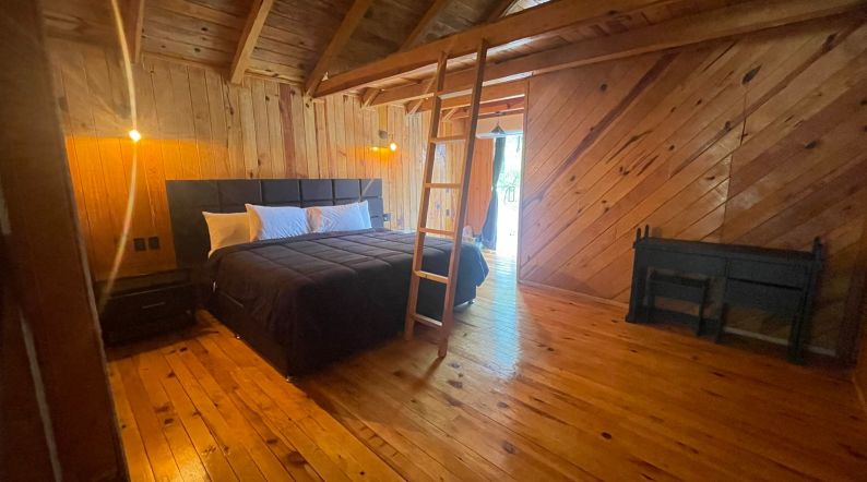 Junior Suite with terrace