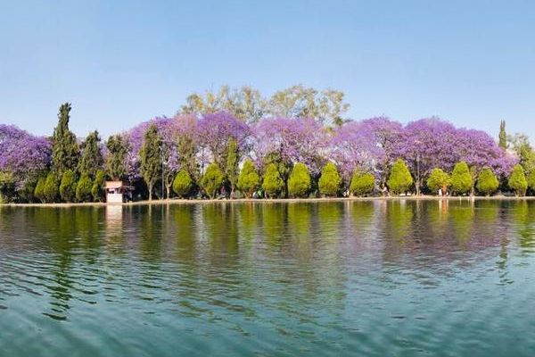 Bosque de Chapultepec