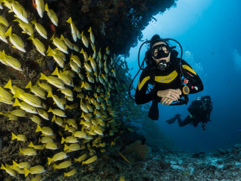 Diving packages