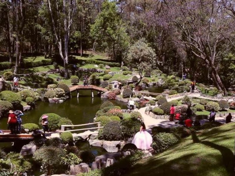 Bosque los Colomos