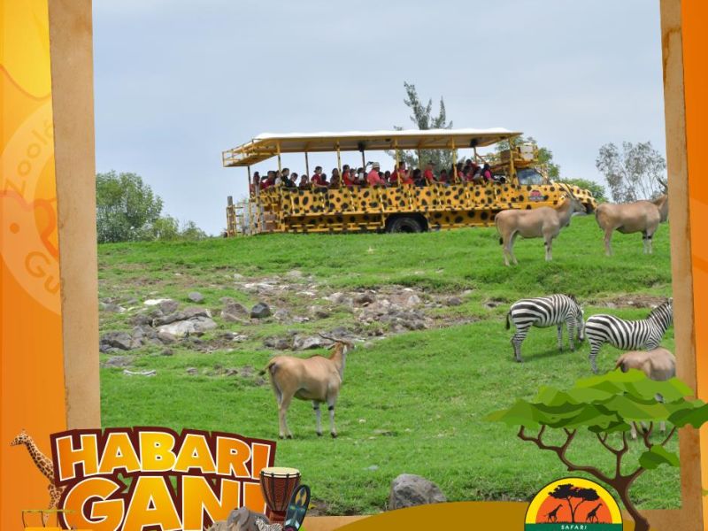 Zoologico de Guadalajara