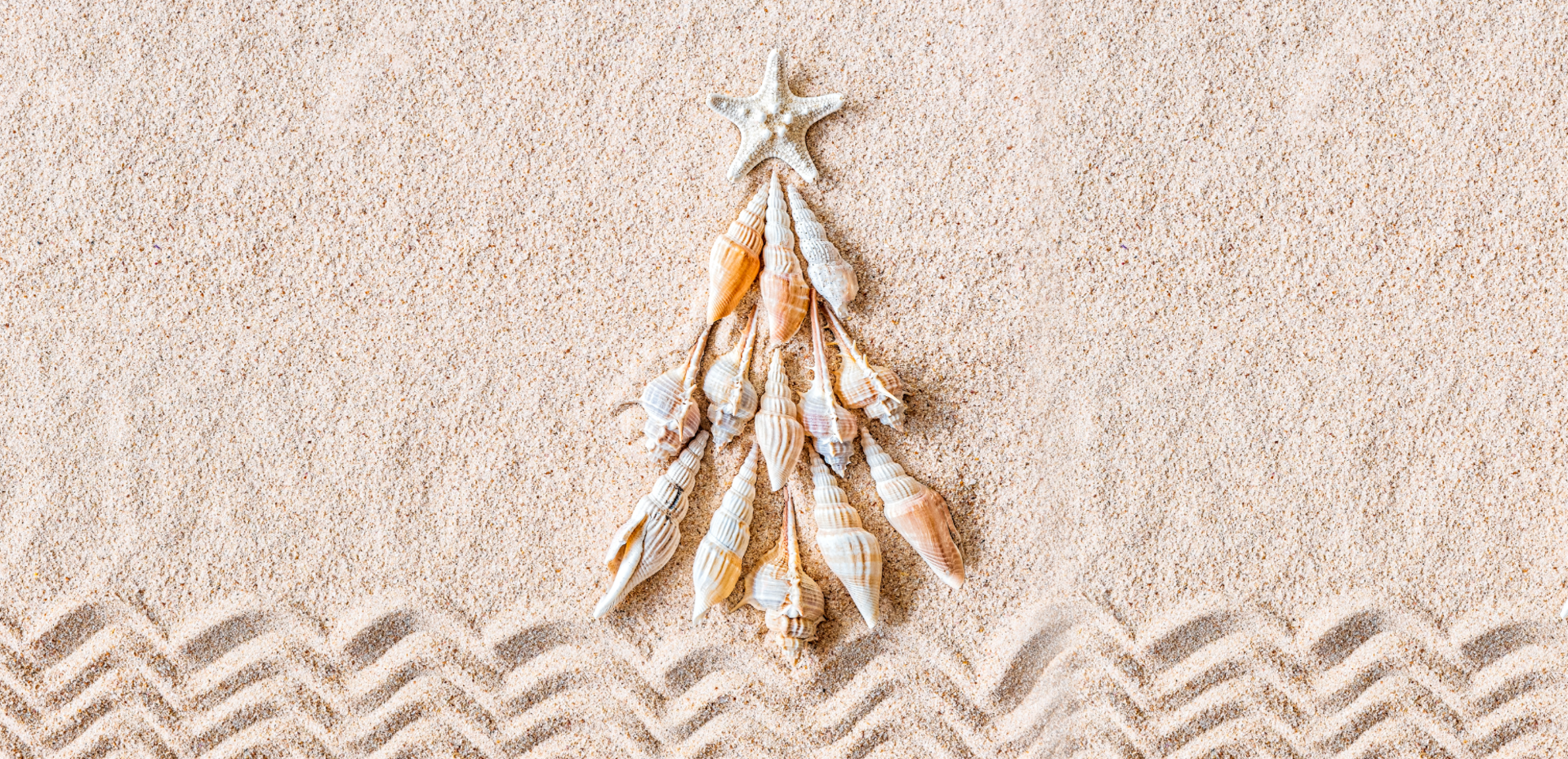 🍂🌳 This fall, trade falling leaves for ocean waves 🌊🏝️