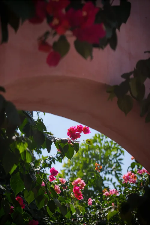 Tercera vista del exterior de la Villa Santa María, con detalle de la vegetación.