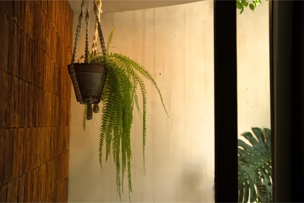 Vista exterior de la planta de la Villa Yahualli.