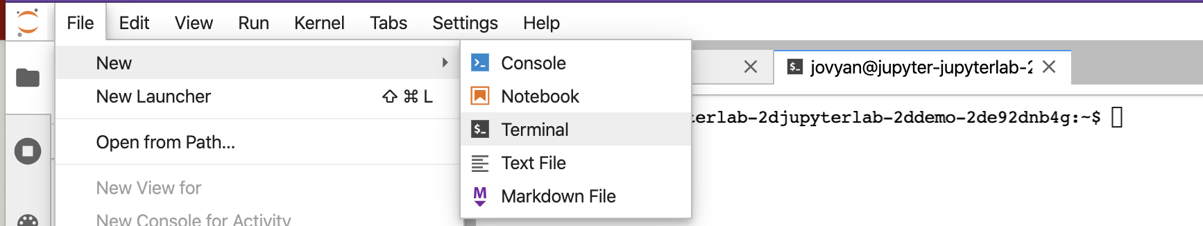 command-line-bash-department-of-translational-genomics