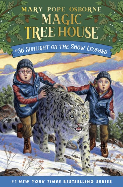 Sunlight on the Snow Leopard by Mary Pope Osborne, AG Ford
