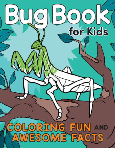 Bug Book for Kids by Katie Henries-Meisner, Andre Sibayan