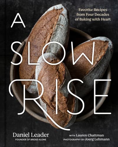 A Slow Rise by Daniel Leader, Lauren Chattman