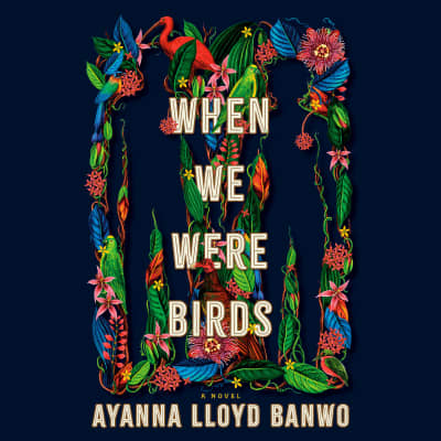 When We Were Birds by Ayanna Lloyd Banwo, Sydney Darius, Wendell Manwarren