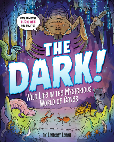 The Dark! by Lindsey Leigh, Lindsey Leigh