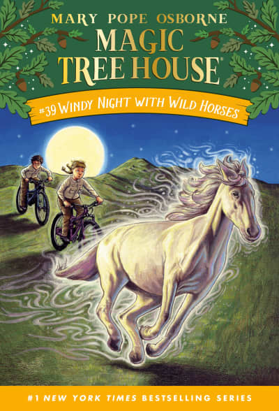 Windy Night with Wild Horses by Mary Pope Osborne, AG Ford