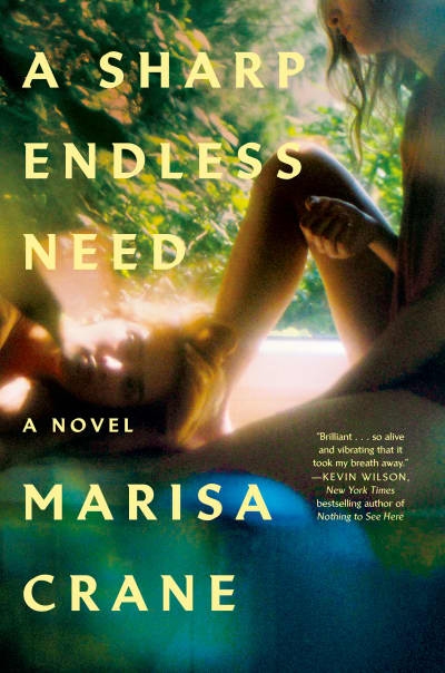A Sharp Endless Need by Marisa Crane
