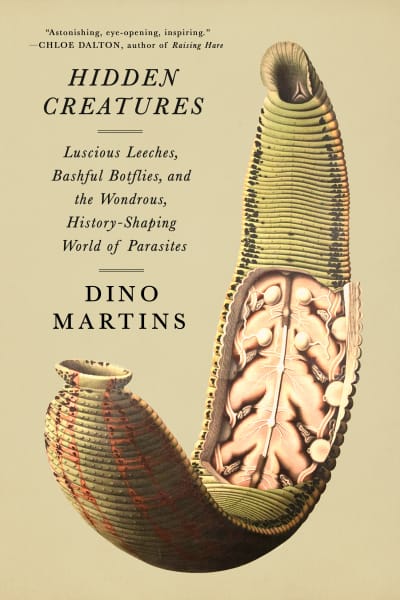 Hidden Creatures by Dino Martins