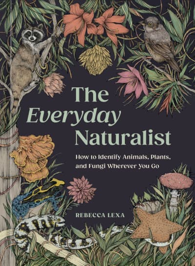 The Everyday Naturalist by Rebecca Lexa, Ricardo Macía Lalinde