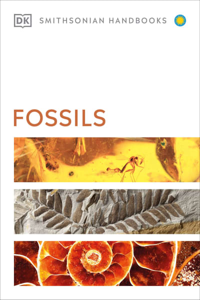 Fossils by DK, Smithsonian Institution