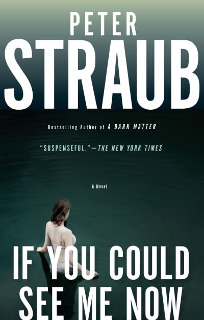 If You Could See Me Now by Peter Straub