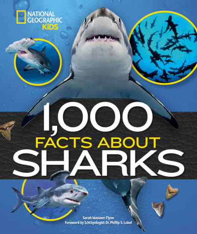 1,000 Facts About Sharks by Sarah Wassner Flynn, Dr Phillip S. Lobel