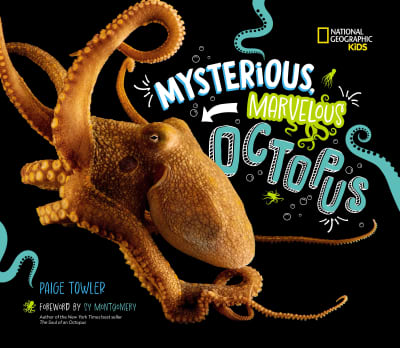 Mysterious, Marvelous Octopus! by Paige Towler, Sy Montgomery