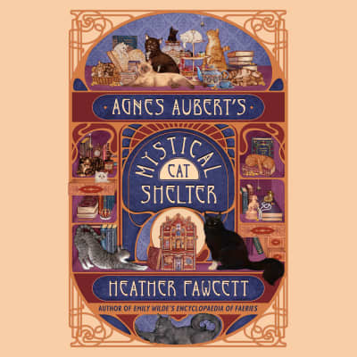 Agnes Aubert's Mystical Cat Shelter by Heather Fawcett, Genevieve Cocke