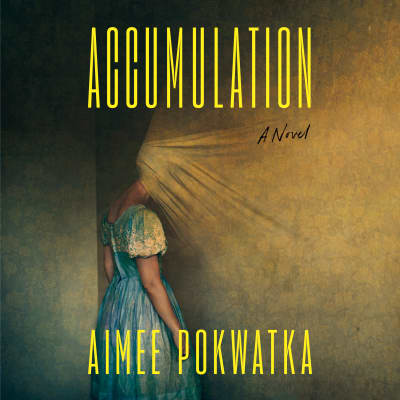 Accumulation by Aimee Pokwatka, Ellen Adair