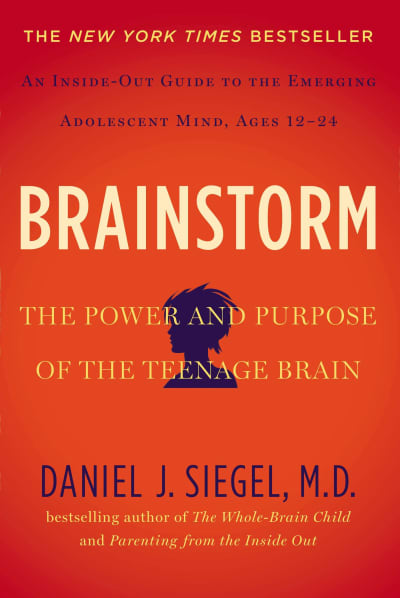Brainstorm by Daniel J. Siegel MD