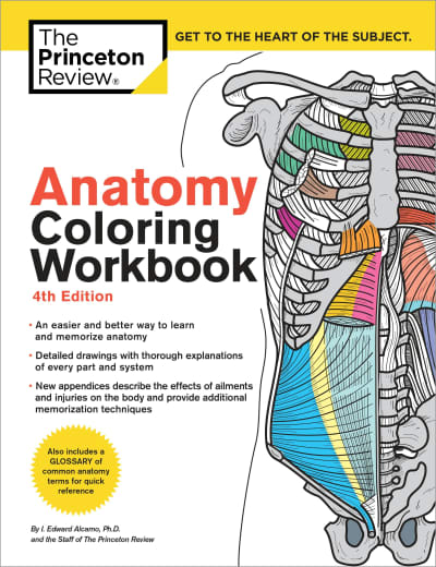 Anatomy Coloring Workbook, 4th Edition by The Princeton Review, Edward Alcamo