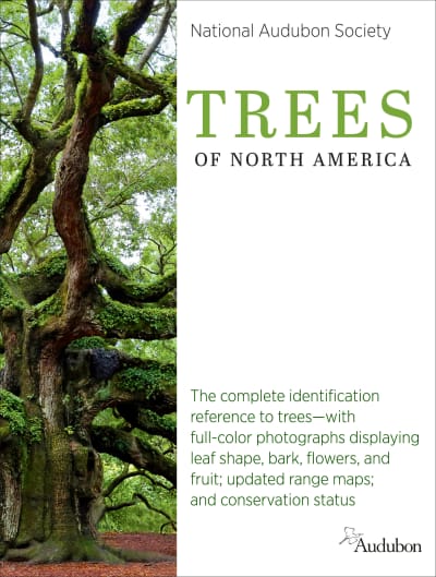 National Audubon Society Trees of North America by National Audubon Society