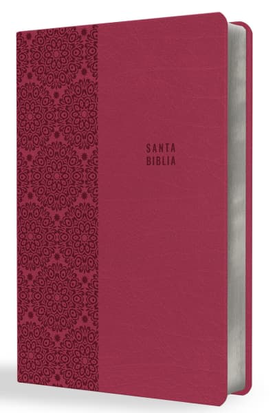 Biblia Reina Valera letra súper gigante, símil piel fucsia / Spanish Bible Reina  Valera Super Giant Print, Fuchsia Leathersoft by Reina Valera 1909