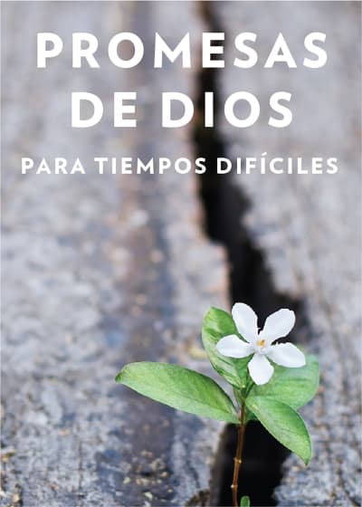 Promesas de Dios para tiempos difíciles / God s Promises when you are hurting by Jack Countryman