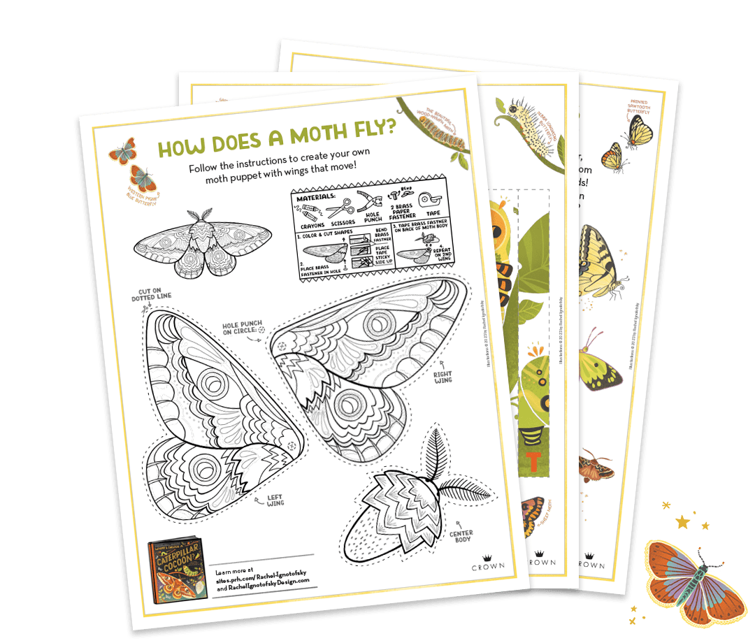 What's Inside a Caterpillar Cocoon? Activities