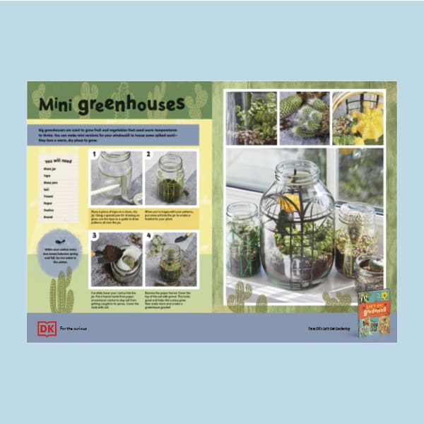 Create a Mini Greenhouse