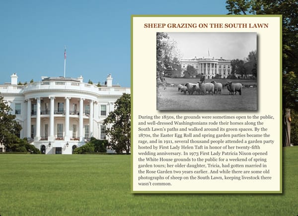 A screenshot showing content from the American Grown ebook