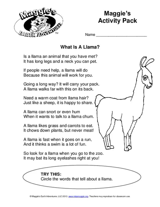 Llama Llama Activity Sheet - Primary Level