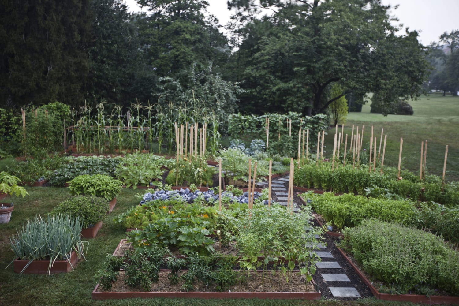 A landscape photo of various plant beds in the White House Garden