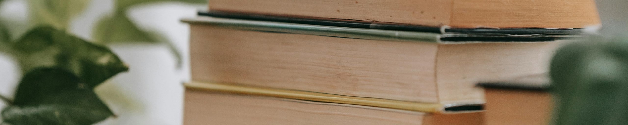 stack of books with no spines showing