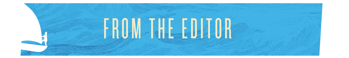 from the editor