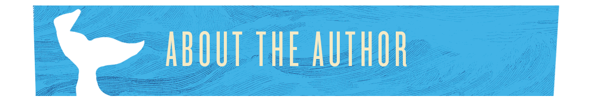 about the author