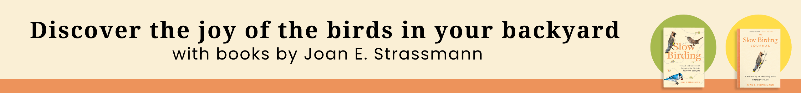 title banner with two book covers