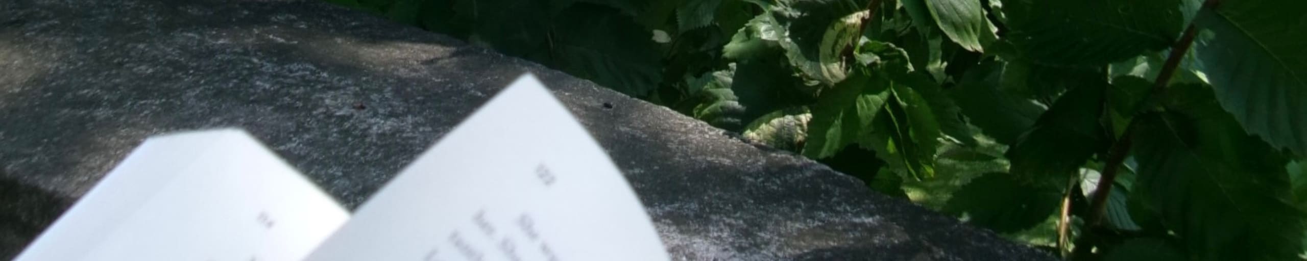 open book with ivy leaves in the background